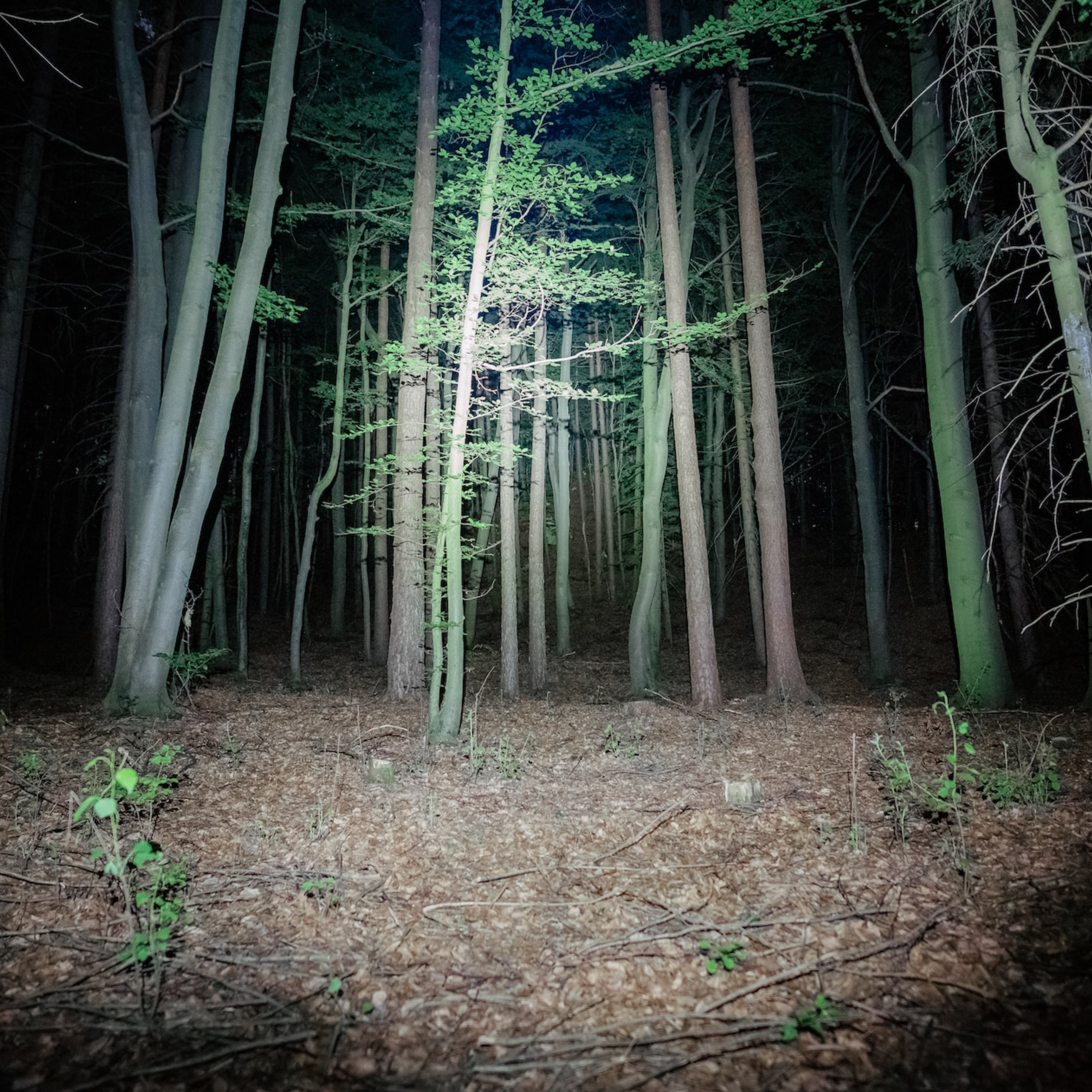 Night Spark Tactical Flashlight reviews Samantha T.