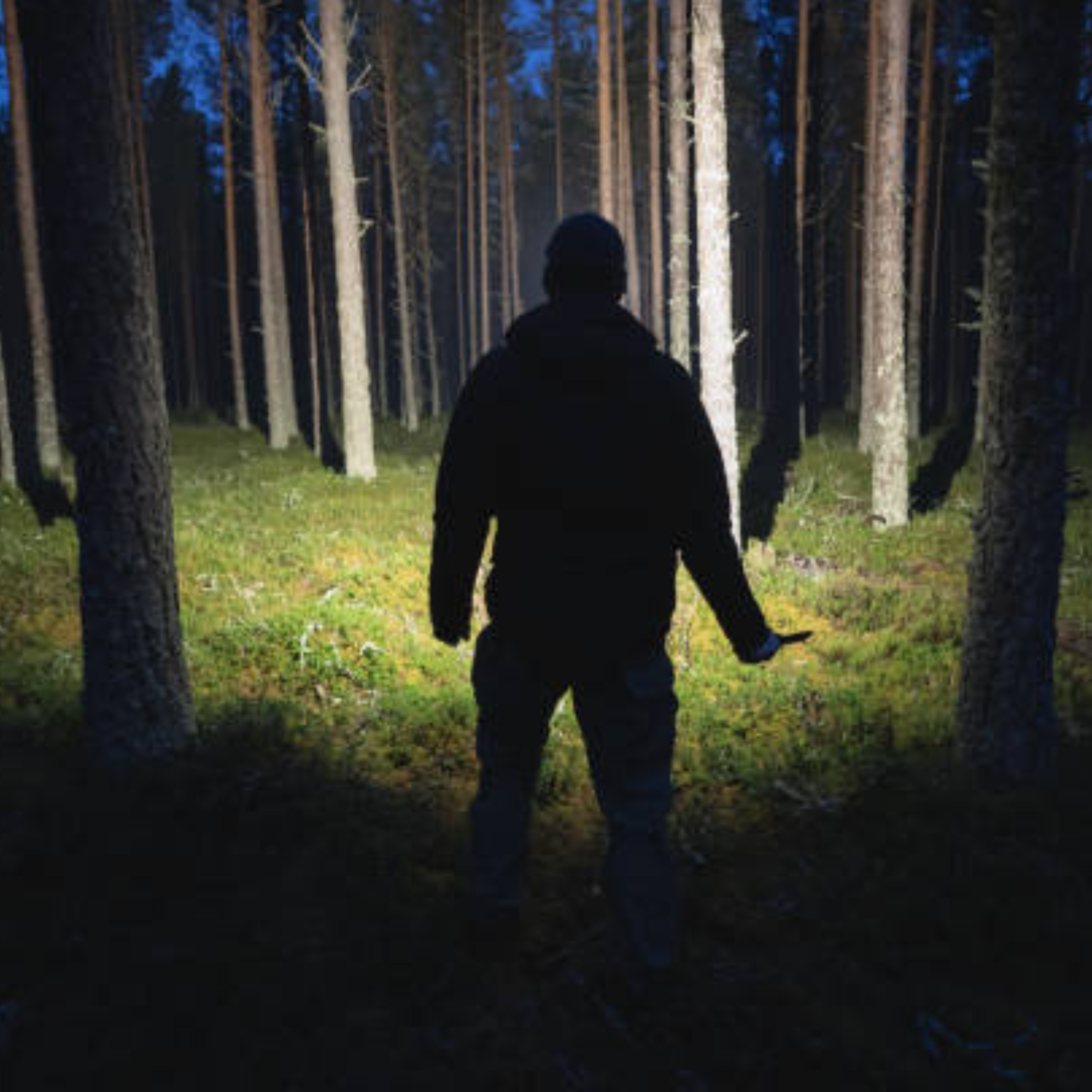 Night Spark Tactical Flashlight reviews Michael T.